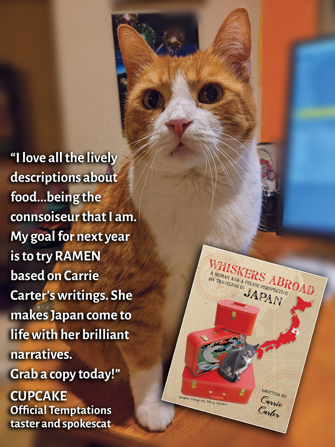 Cat leaves a positive review for Whiskers Abroad