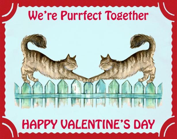 Kitties say Happy Valentine's Day 